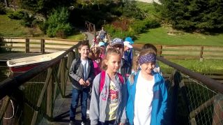 WP_20190912_09_01_58_Pro